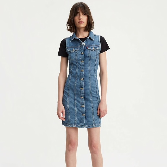 levis aubrey denim dress